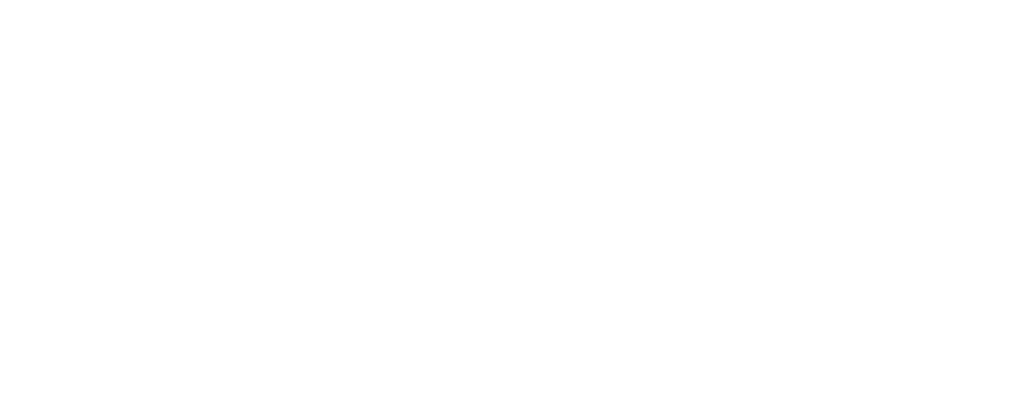 Brouwerij 't IJ — IJwit